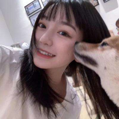 fortstars破解版下载